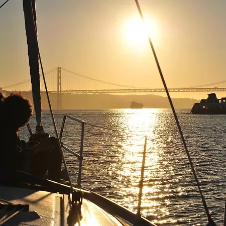 Boat Palmayachts *